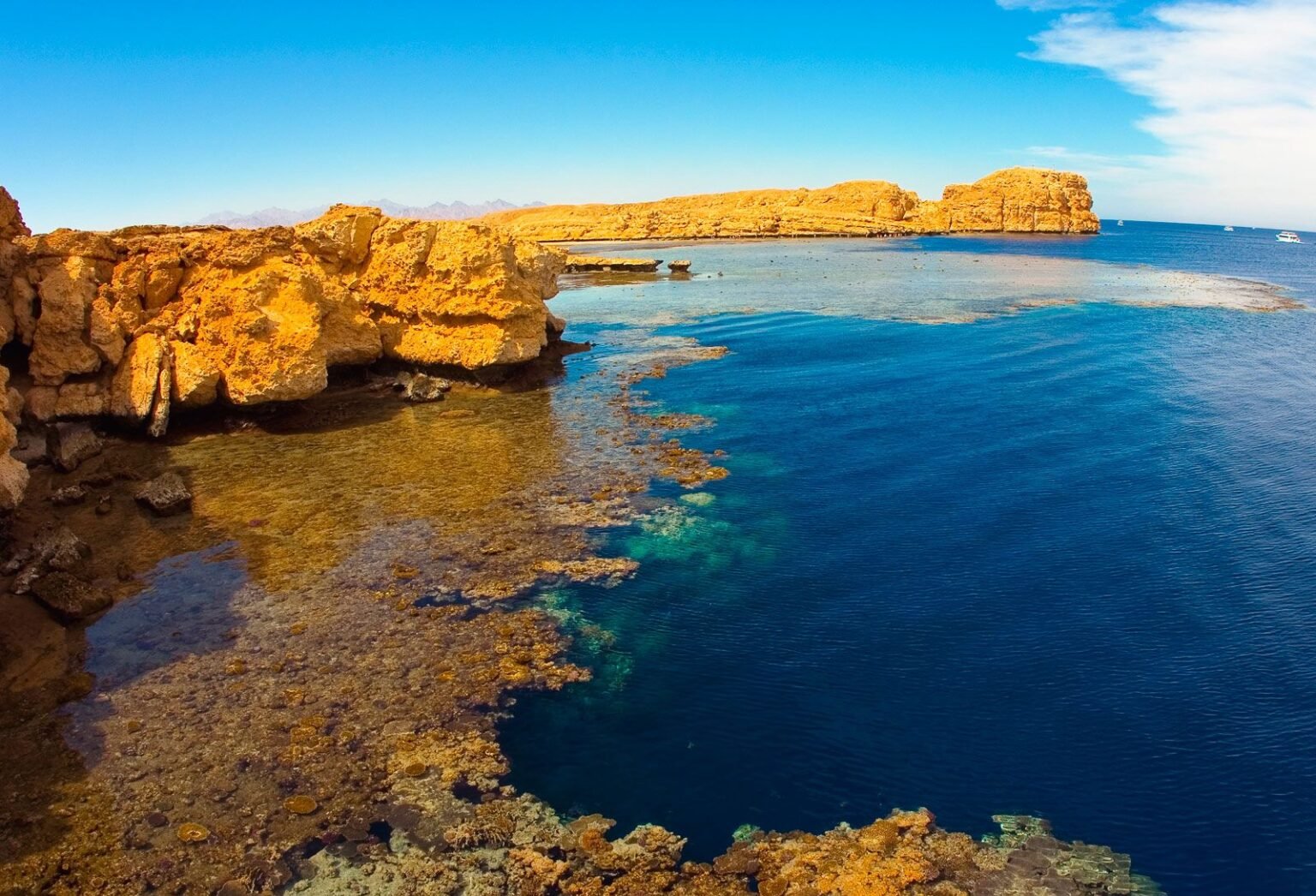 Ras Mohammed National Park Day Trip by Boat