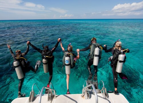 Scuba Diving Open Water in Hurghada Snorkeling and diving