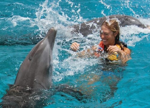 Dolphins trip Hurghada